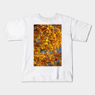 Maple (Acer ), golden yellow autumn leaves hanging from a tree, Germany Kids T-Shirt